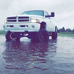 Meet your Posher, Brandon